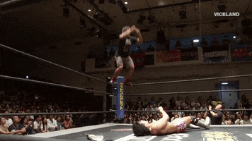 浅井月面宙反